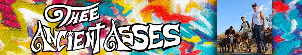 Thee Ancient Asses